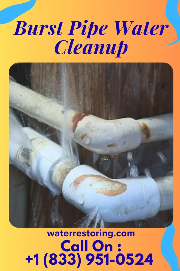 Burst Pipe Water Cleanup in Crook City, SD