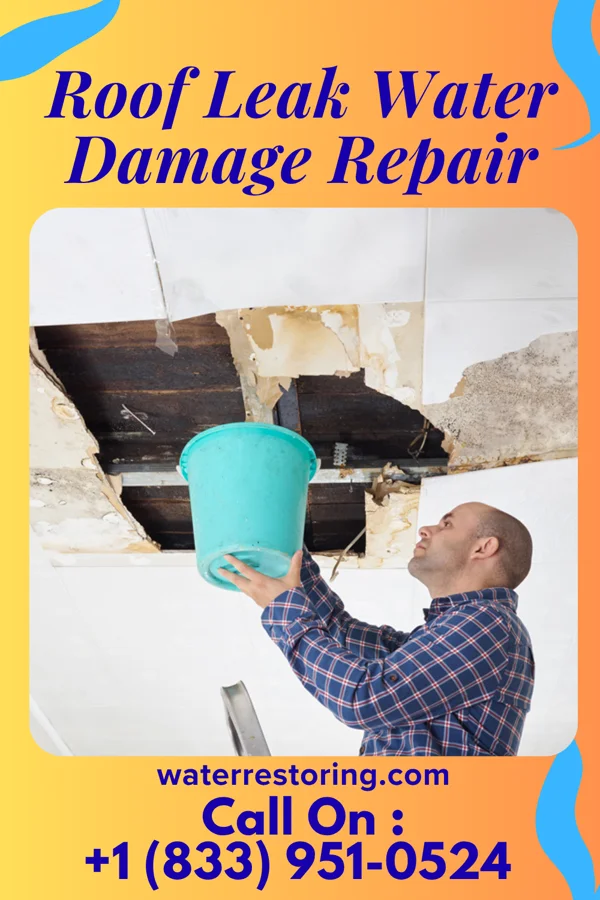 Roof Leak Water Damage Repair in Crook City, SD